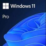 WINDOWS 11 PRO-ESD FQC-10572