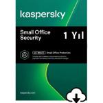 SMALL OFFICE SECURITY 2 SERVER + 20 PC + 20 MD 1 YIL