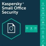 SMALL OFFICE 1S+10K (1 SERVER+10Kullanıcı MD) 3 YIL