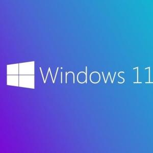 MS WINDOWS 11 PRO 64 BIT TURKCE OEM FQC-10556