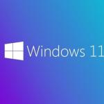 MS WINDOWS 11 PRO 64 BIT INGILIZCE OEM FQC-10528