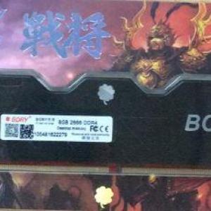 8 GB DDR4 2666MHZ BORY GAMING SOĞUTUCULU KUTULU DESKTOP