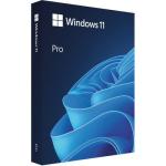 Windows 11 Pro Kutu Türkçe HAV-00159
