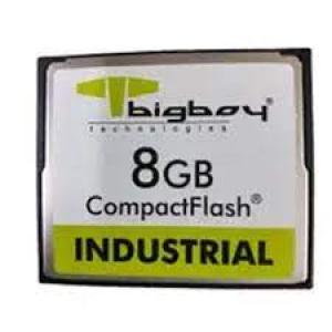 8GB Compact Flash Industrial Hafıza Kartı BTCFI110-8G